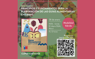 SEMINARIO: Principios y Fundamentos para la Elaboración de las Guías Alimentarias en Chile