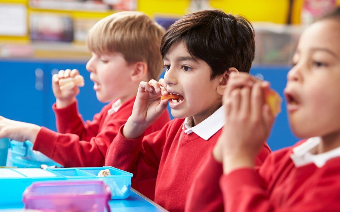 Mapa Nutricional 2023: Expertos del INTA identifican los principales desafíos contra la obesidad infantil