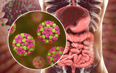 Proyecto RED para Estudio de la Microbiota y su Impacto en la Salud (RED-EMIS) inicia reuniones y etapa de ejecución