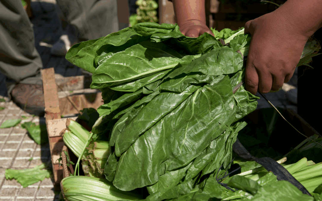 Camila Corvalán participó del evento FAO y PNUMA “Avances en implementación de la agenda de Sistemas Alimentarios en Chile”