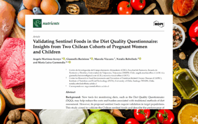 Investigación valida la utilidad y pertinencia de cuestionario internacional de calidad de dieta en embarazadas y niñas y niños de Chile